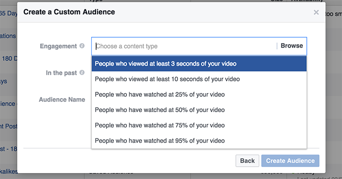 Facebook Video View Custom Audience