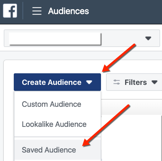 Facebook Ads Manager - Create and Save Audience