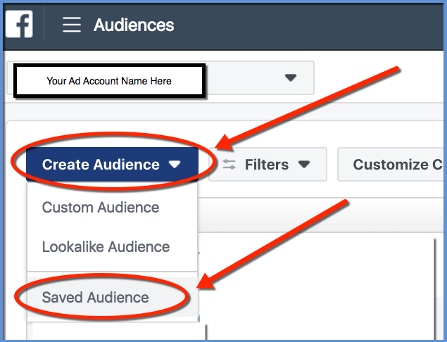 Facebook Saved Audience - Creation Selector