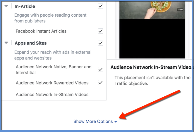 Facebook Ads Manager Placements - Show More Options